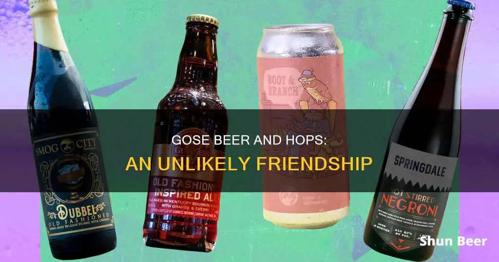 does gose beer have hops