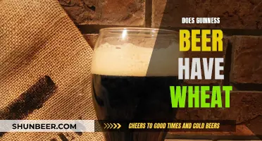 Guinness Beer: Wheat-Free, But What's the Secret?