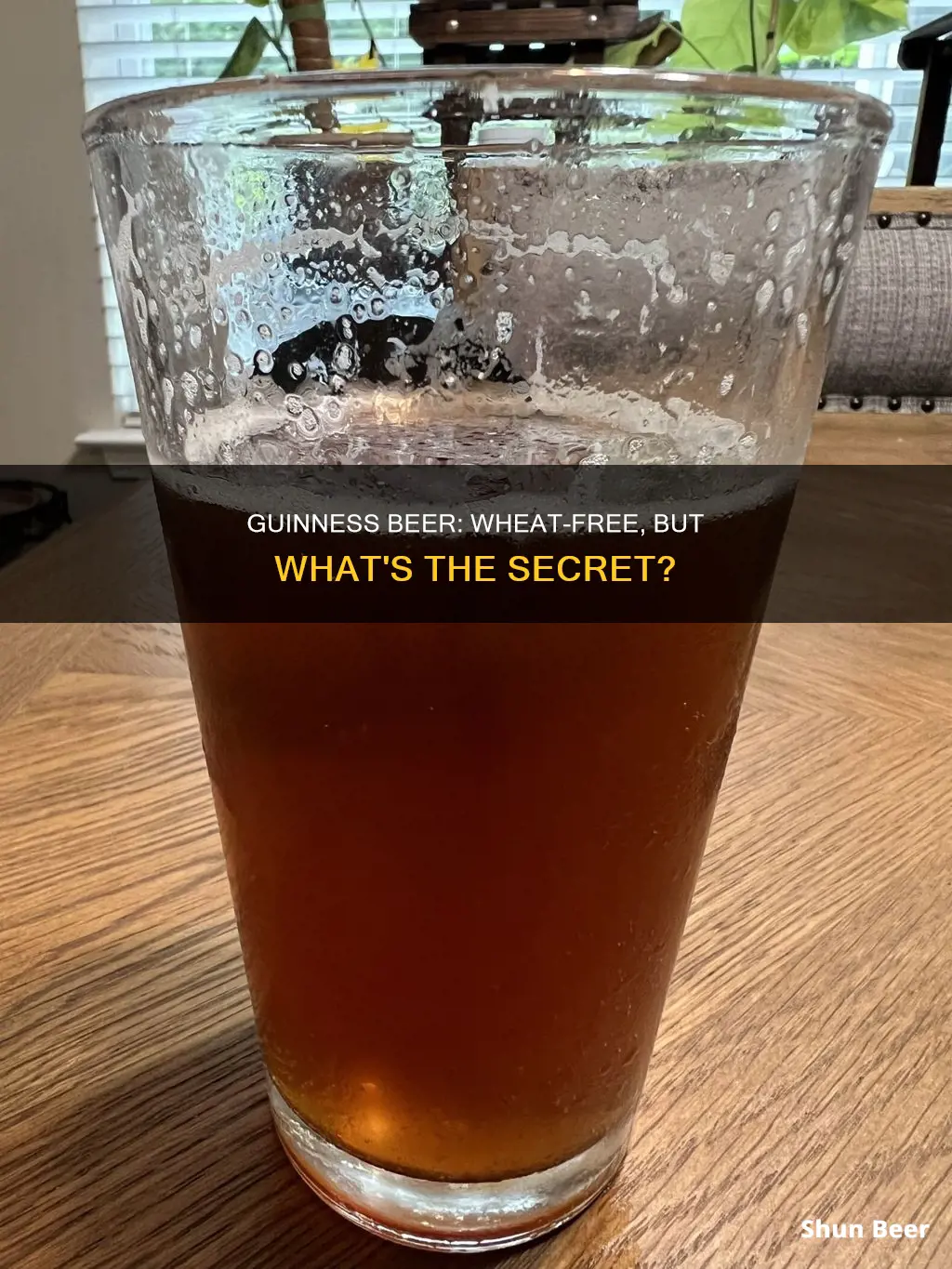 does guinness beer have wheat