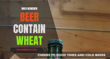 Heineken Beer: Wheat-Free or Not?