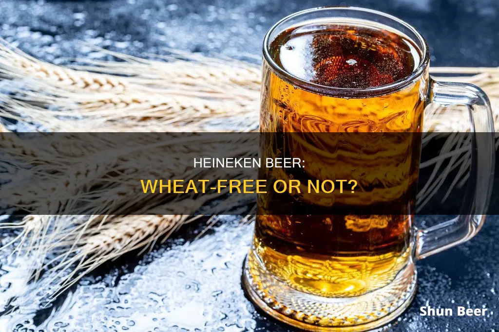 does heineken beer contain wheat