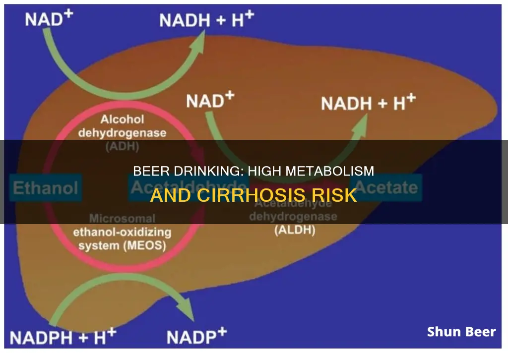 does high metabolism lessen likelihood of cirrohsis from drinking beer