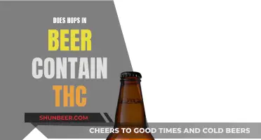 Hops and Cannabis: THC in Beer Explored