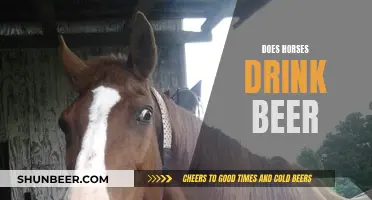 The Curious Case of Horses and Beer