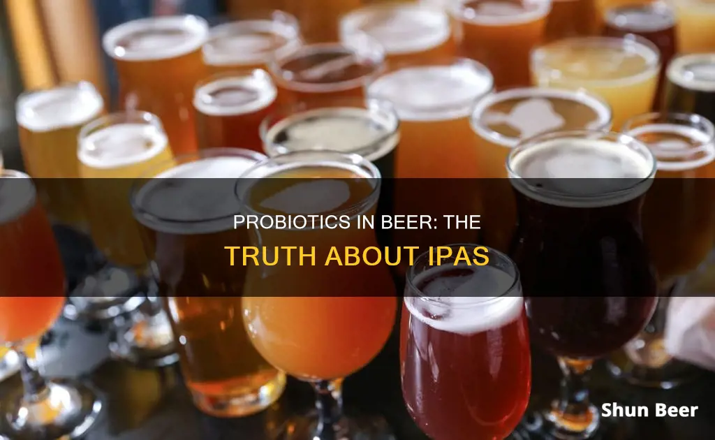 does ipa beer have probiotics