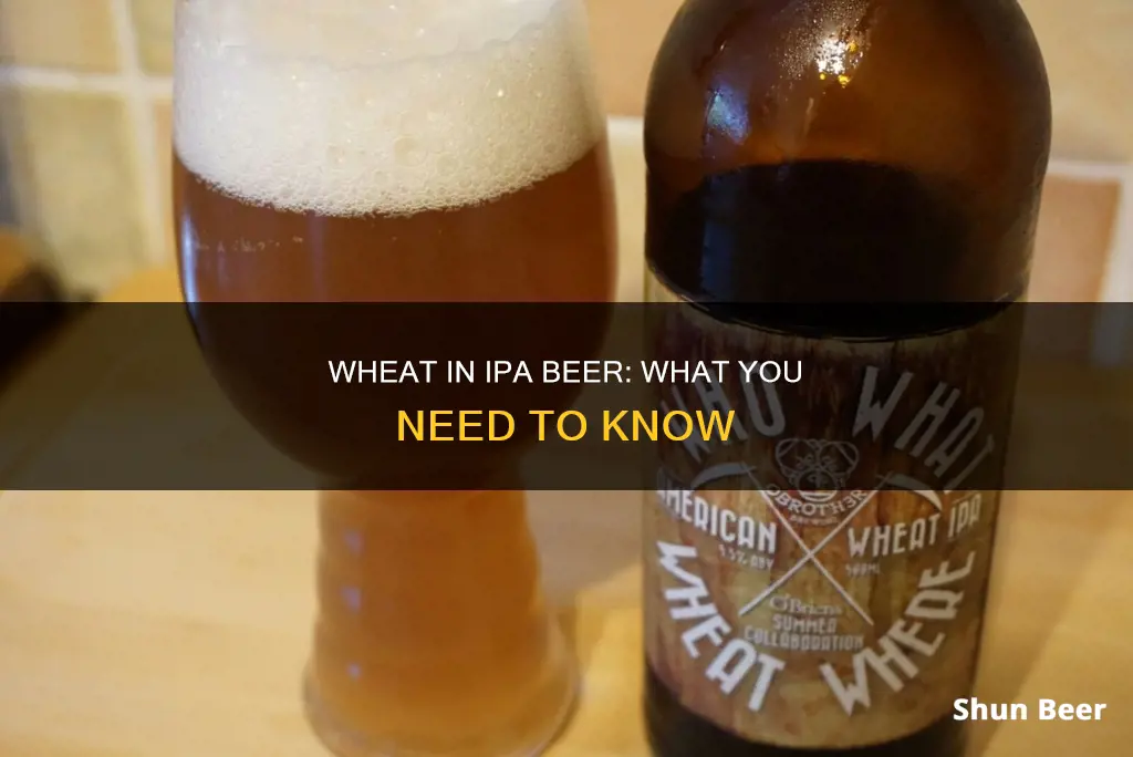 does ipa beer have wheat in it