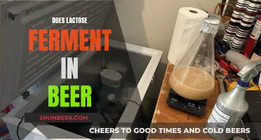 Lactose's Fermentative Role in Beer: Uncovering the Science