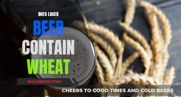 Lager Beer and Wheat: What's the Connection?