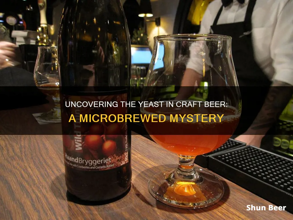 does microbrewed beer contain yeast