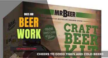 How Well Does Mr. Beer Work for Beginners?