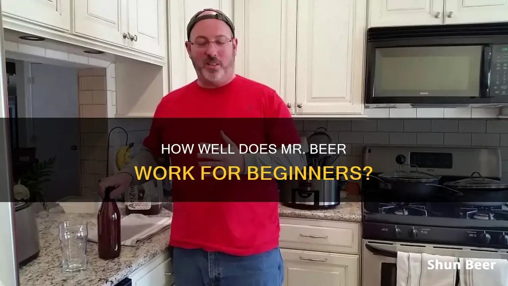 does mr beer work