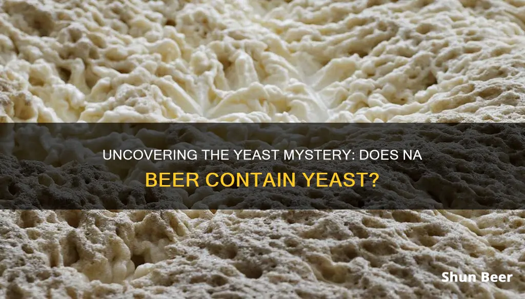 does na beer have yeast