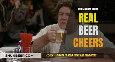 Norm's Beer: Real Cheers or Just for Show?