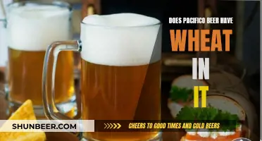 Is Pacifico Beer Wheat-Based?