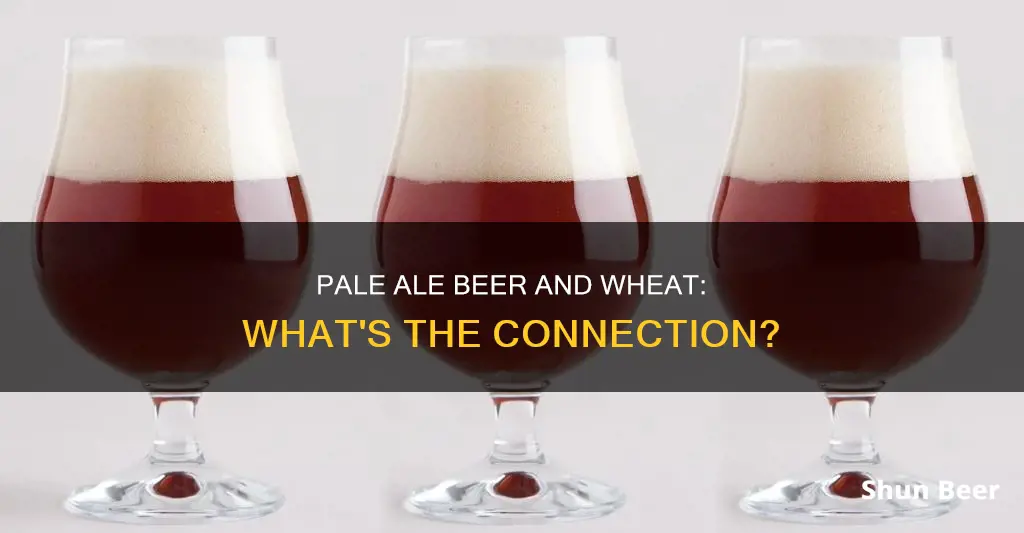 does pale ale beer have wheat