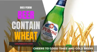 Peroni Beer: Wheat-Based Brew or Not?