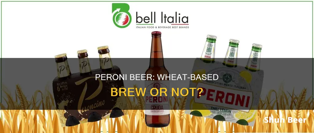 does peroni beer contain wheat