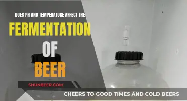 Unraveling the Mystery: pH and Temperature's Role in Beer Fermentation