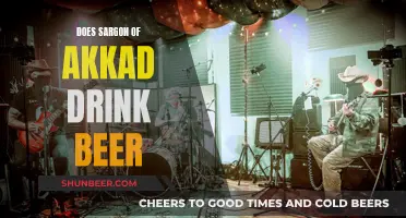 Sargon of Akkad's Drinking Habits: Beer or Not?