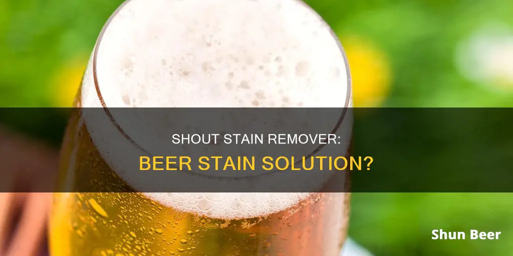 does shout work on beer stains