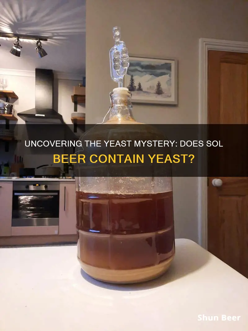 does sol beer have yeast