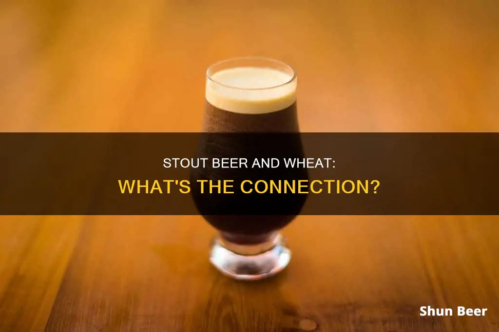 does stout beer have wheat