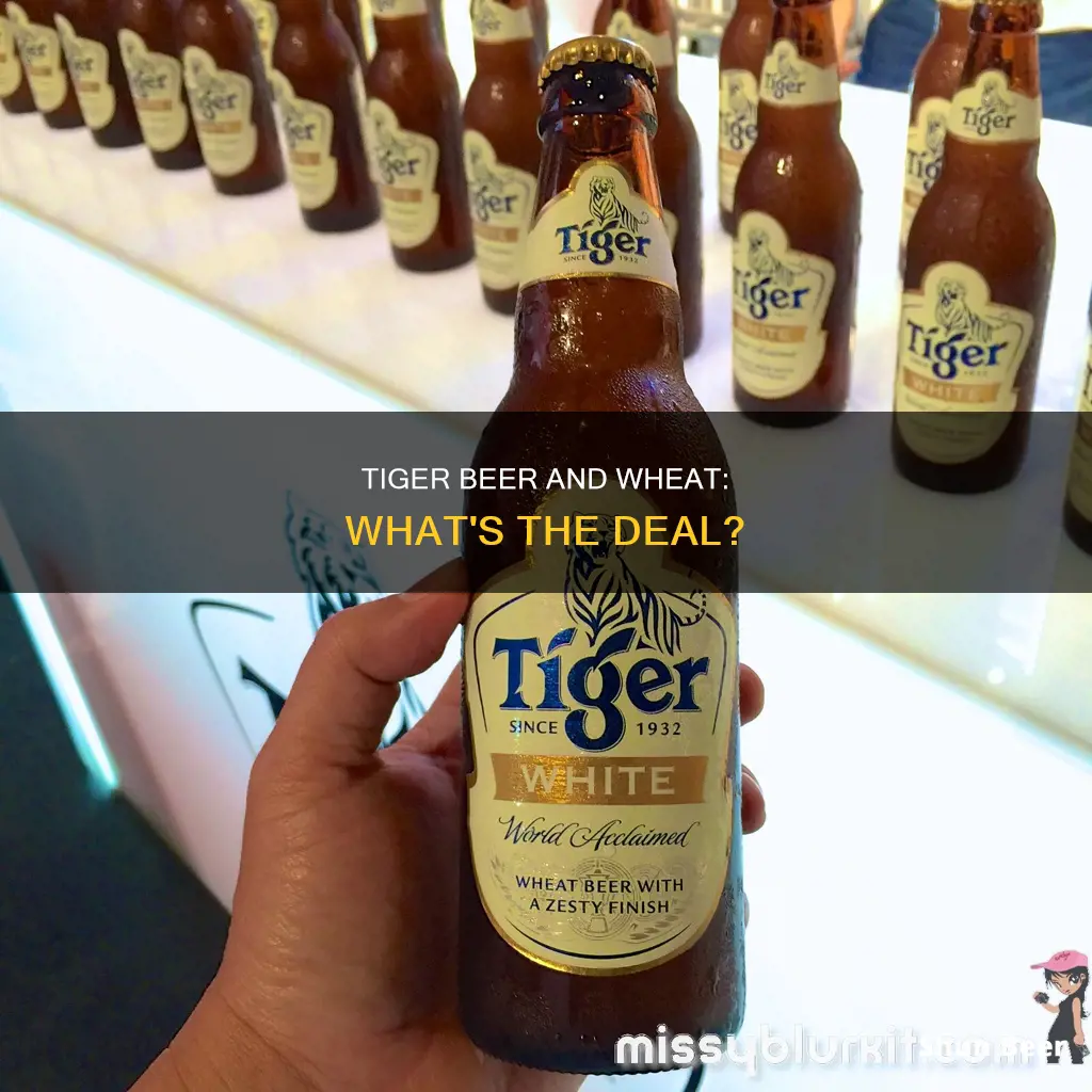 does tiger beer contain wheat