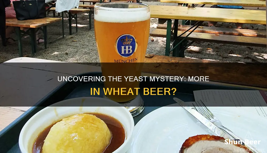 does wheat beer have more yeast