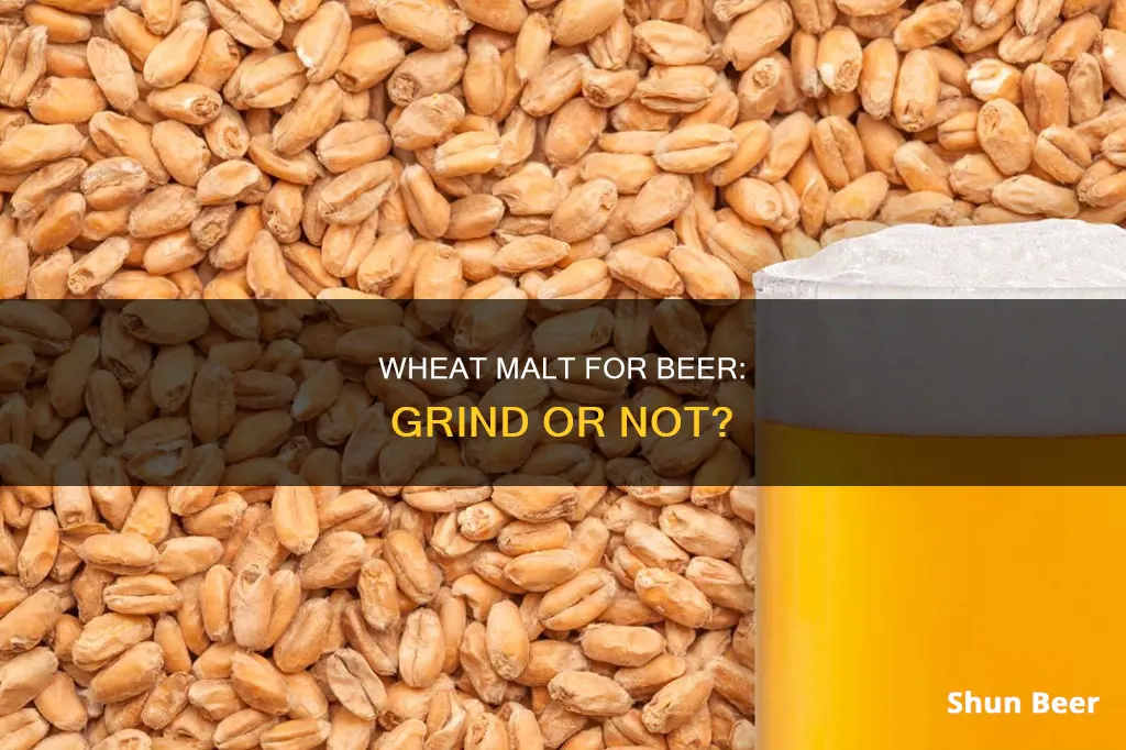 does wheat malt need to be grinded for making beer