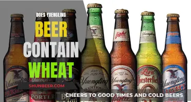 Yuengling Beer: Is It Safe for Wheat-Free Diets?