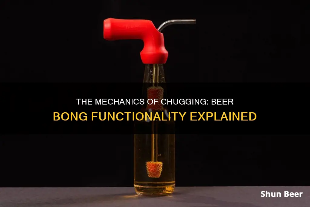 how a beer bong works