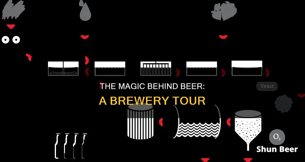 how a beer brewery works