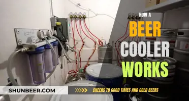 Beer Coolers: Understanding the Science of Cold