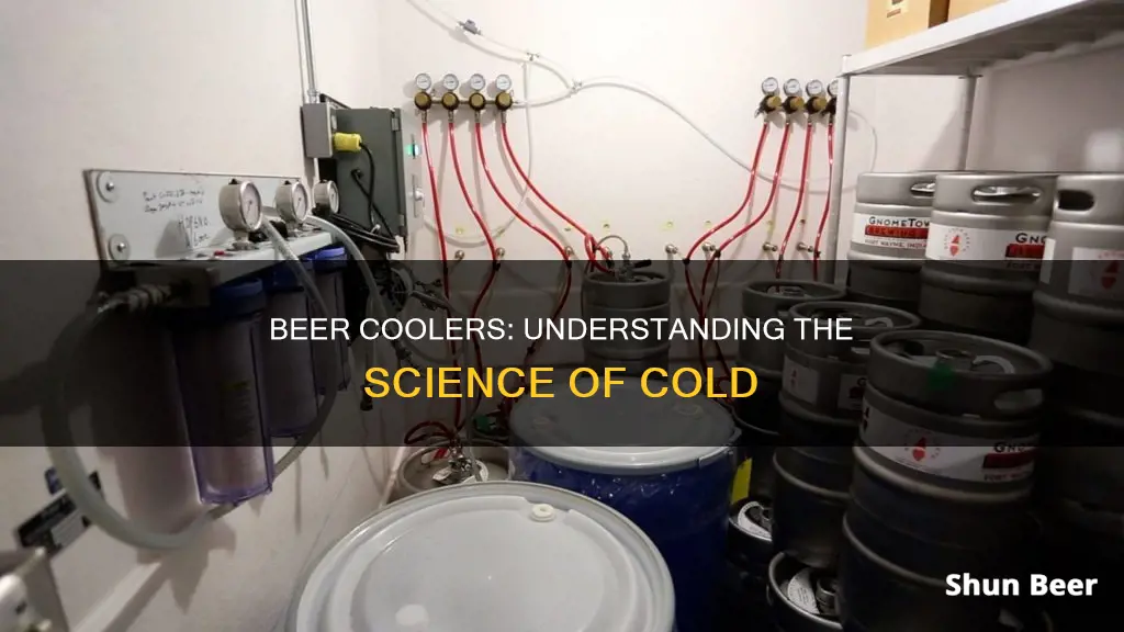 how a beer cooler works