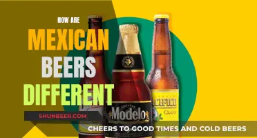 Mexican Beers: Unique Flavors and a Cultural Legacy