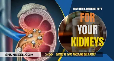 Beer and Kidney Health: Is It Harmful?