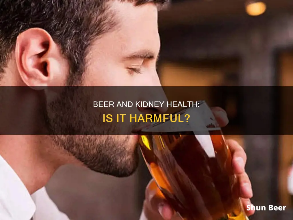 how bad is drinking beer for your kidneys