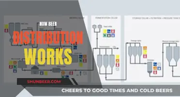 Understanding Beer Distribution: From Brewery to Glass