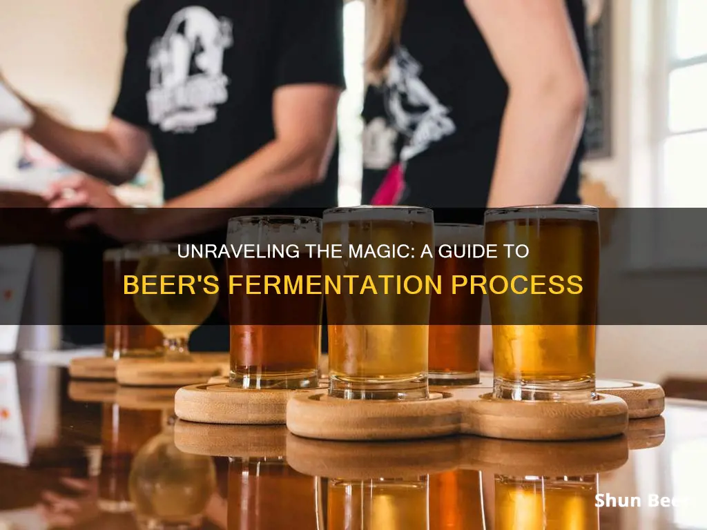 how beer fermentation works