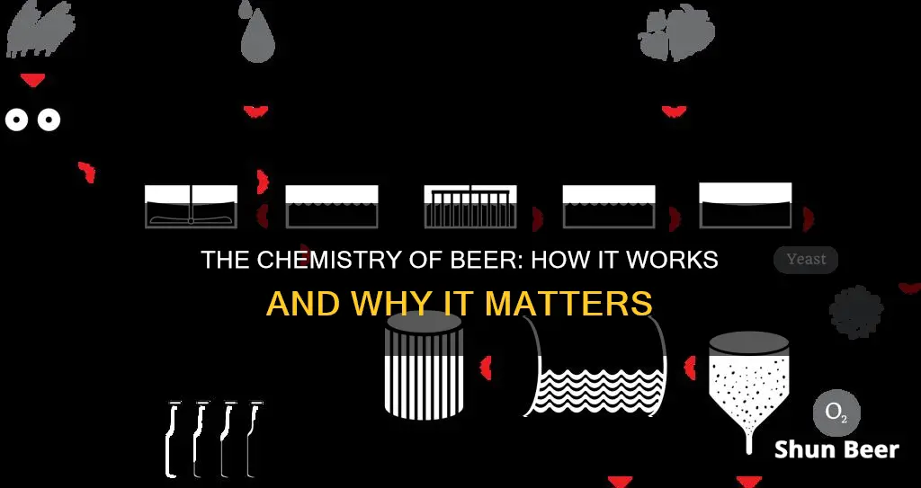 how beer works sysk