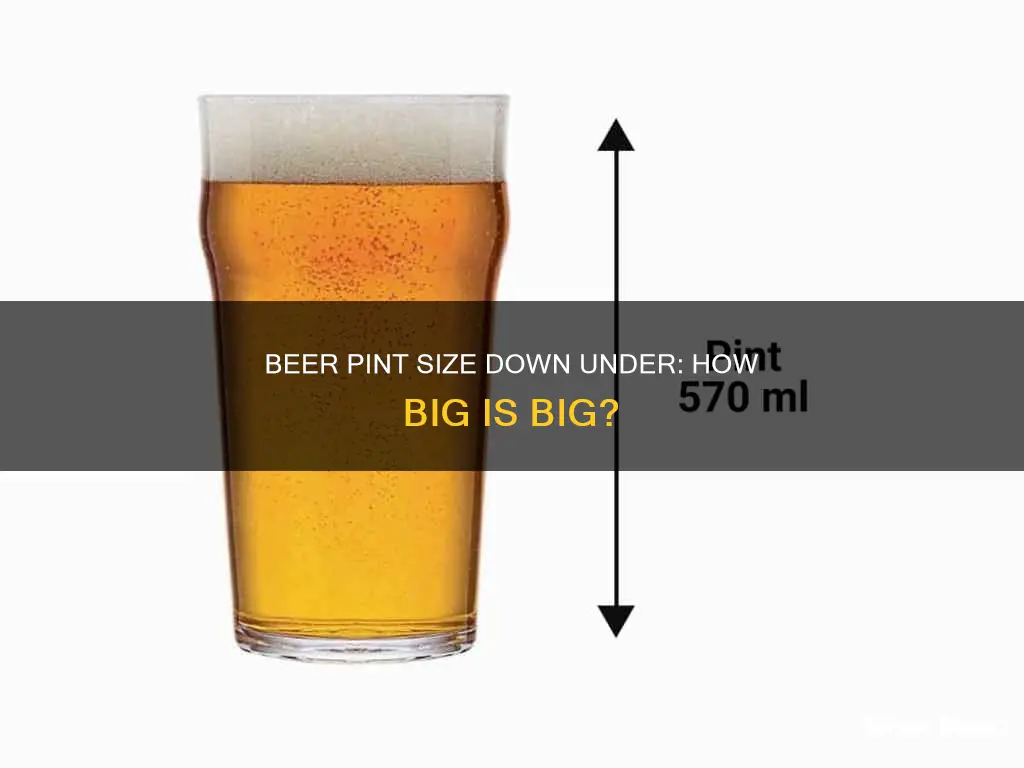 how big is a pint of beer in australia