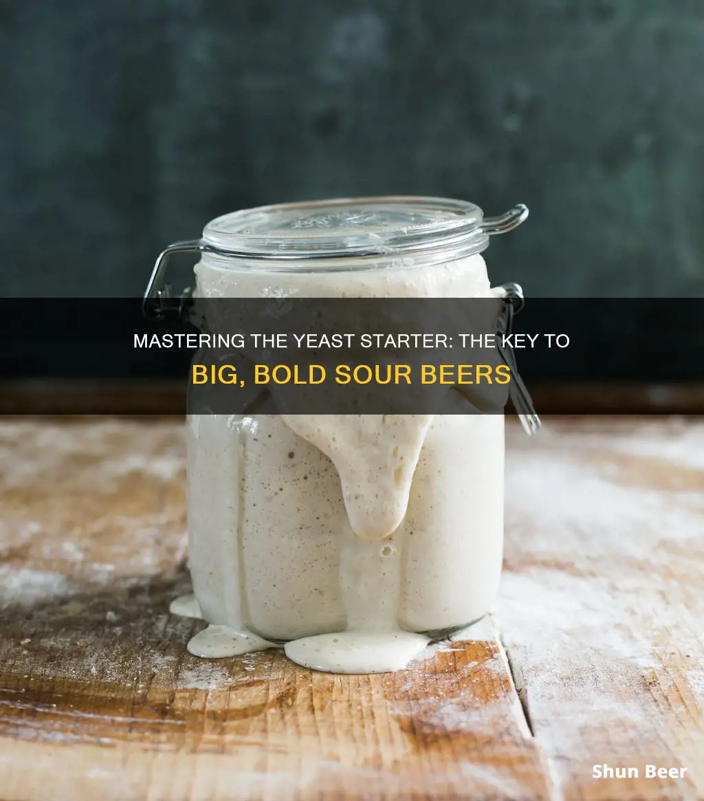 how big of yeast starter sour beer