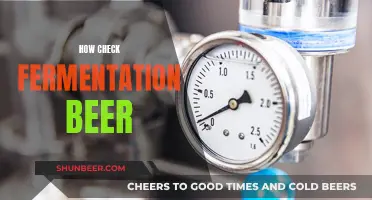 Mastering Beer Fermentation: Tips for Checking Your Brew's Progress