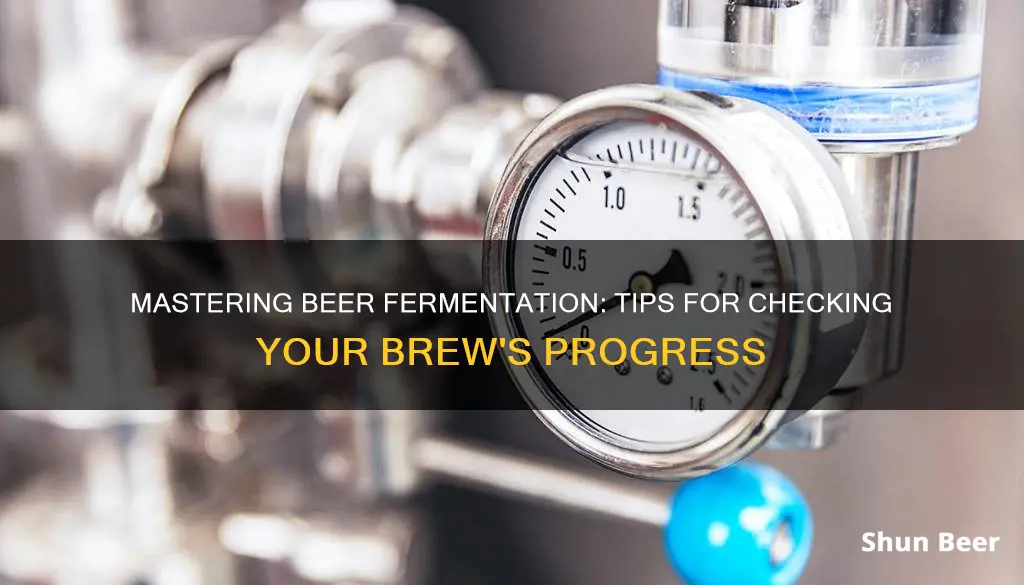 how check fermentation beer