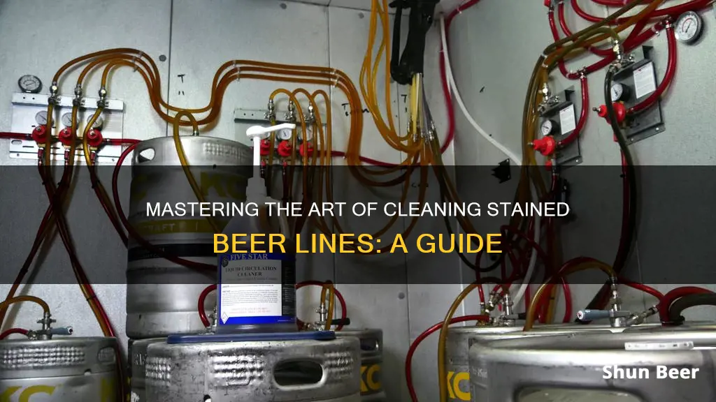 how clean stained beer lines