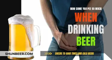 Why Does Beer Make You Pee So Much?