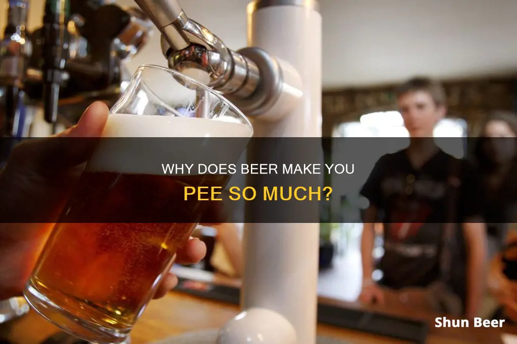 how come you pee so much when drinking beer