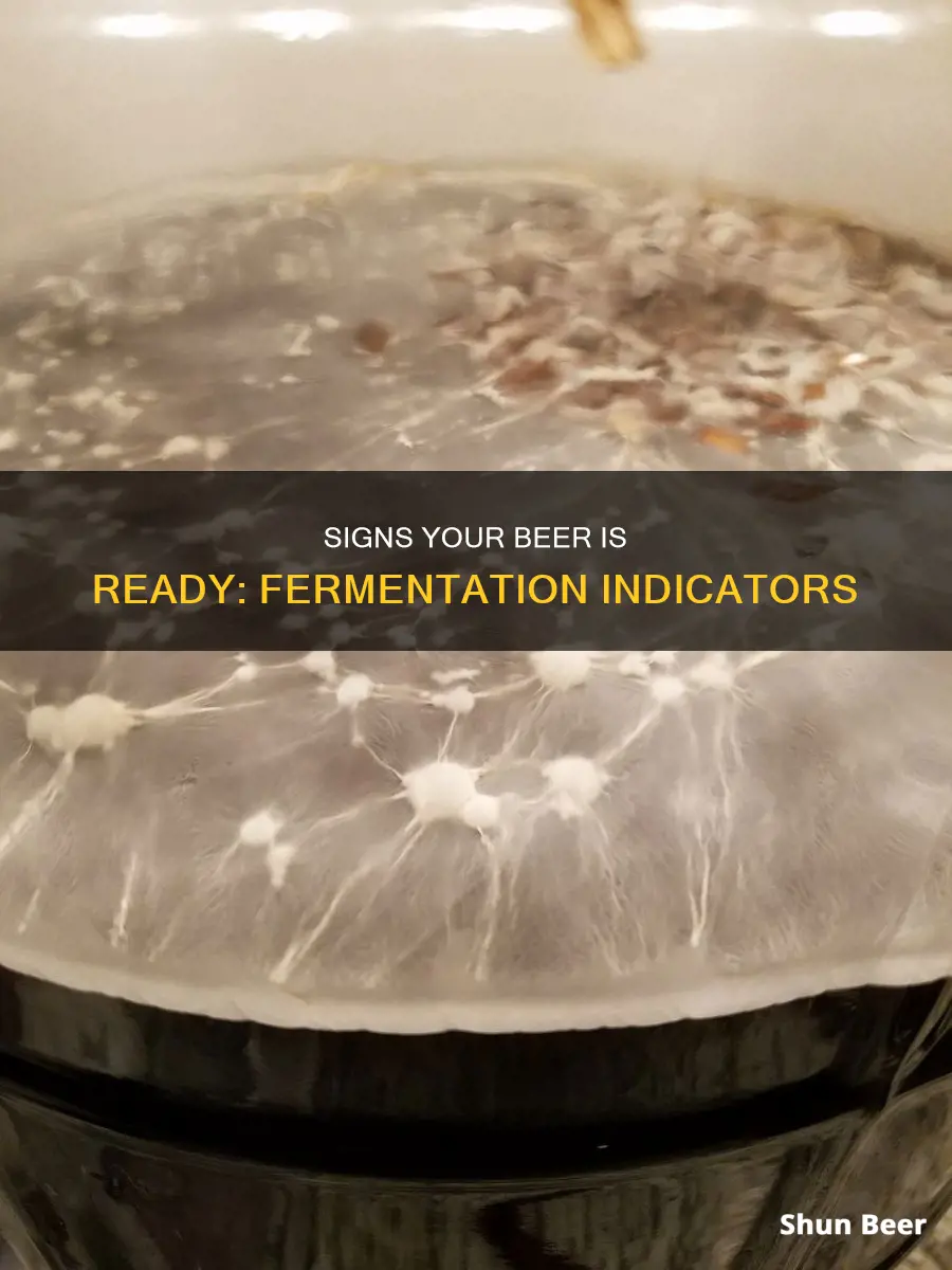 how do i know beer is finished fermenting