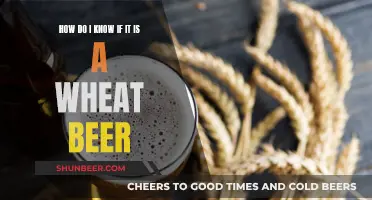 Wheat Beer: How to Identify the Unique Style