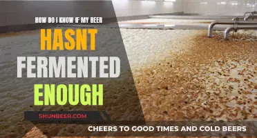 Unraveling the Mystery: Signs Your Beer Needs More Fermentation